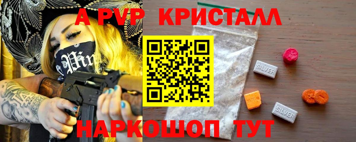 APVP СК Ейск