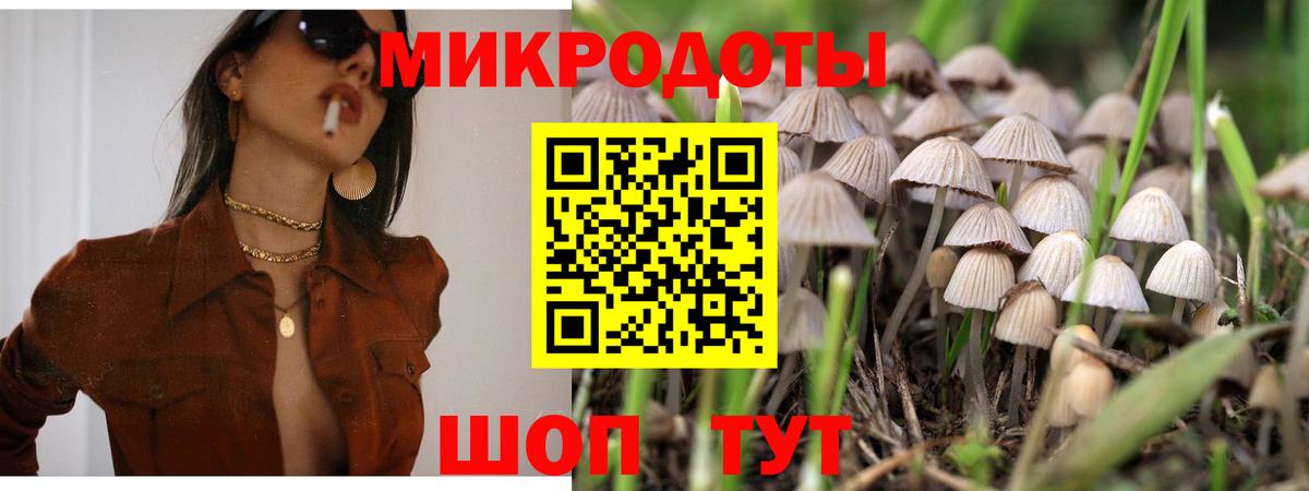 Галлюциногенные грибы прущие грибы  купить наркотики цена  Псилоцибиновые грибы Psilocybine cubensis  Ейск  Вход с VPN 